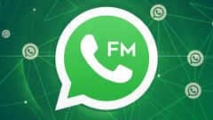 FMWhatsApp APK Download: How to Download FMWhatsApp Latest Version On Android?
