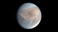 ISRO Partners With French Space Agency For Venus Mission Set For 2025