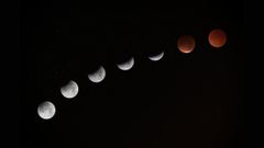 Last Lunar Eclipse Of 2020: How To Watch November Lunar Eclipse