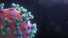 Battling COVID-19: 8K Image Of Coronavirus Infected Cells Reveals New Details