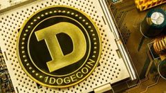 Dogecoin Price Goes Sky High; Likely To Reach $1