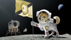Elon Musk Announces Doge-1 Satellite: Doge To The Moon, Literally