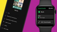 Spotify Rolls Out Offline Music Listening On Apple Watch
