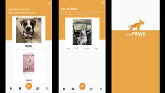 ForPAWS App Review: A Pet-Friendly Platform With Scope For Improvement