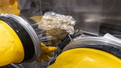 NASA To Study Lunar Samples After 50 Years; Could Aid In Upcoming Artemis Mission