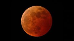 Total Lunar Eclipse 2022: How To Watch Blood Moon Live Stream