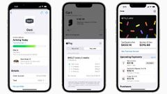 Apple Takes On BNPL Segment With Pay Later Service