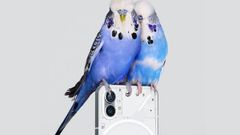 Nothing Phone (1) Pre-order Pass Details Out: How It Works?