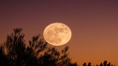 Buck Moon, Biggest Supermoon of 2022: When, Where To Watch?