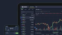 India's Biggest Crypto Exchange WazirX In Trouble: Time To Cash Out Crypto Investments?