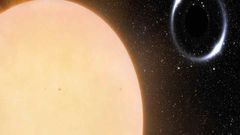 Astronomers Find Earth’s Closest Black Hole In The Milky Way