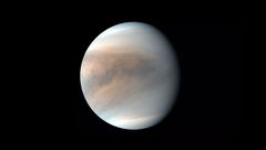 Search For Life Signs On Venus Goes In Vain; What It Means?
