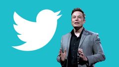 Twitter’s New CEO Announced, Replacing Elon Musk: Who’s Taking the Reins?