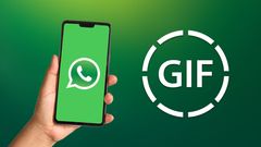 WhatsApp to Introduce Autoplaying GIFs, Long-Awaited Feature in the Works
