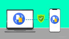 Essential Strategies for Secure File Sharing in the Digital Age