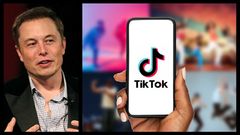 Following the Acquisition of Twitter, Has Elon Musk Set His Sights on Another Major Social Media Platform?