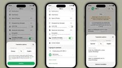 WhatsApp Reportedly Working on Automatic Message Translation for iPhones; Android Gets New Language Packs