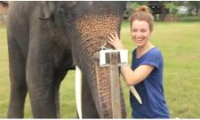 ಆನೆಗೂ ಇಷ್ಟ ಈ ಸ್ಯಾಮ್ಸಂಗ್ ಗ್ಯಾಲಕ್ಸಿ ನೋಟ್