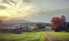 ಐಫೋನ್‌ ಫೋಟೋಗ್ರಫಿ ಪ್ರಶಸ್ತಿ ಪಡೆದ ಫೋಟೋಗಳು