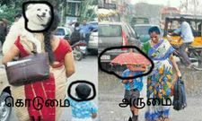 ಮನರಂಜನೀಯ ಫೋಟೋ ನೋಟವನ್ನು ಕಣ್ತುಂಬಿಕೊಳ್ಳಿ