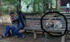 ಮನಸ್ಸನ್ನು ಸೊಗಸಾಗಿಸಲಿರುವ ಫೋಟೋಗಳನ್ನು ಆಸ್ವಾದಿಸಿ