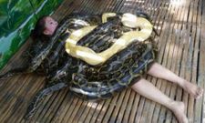 ವಿಚಿತ್ರವಾಗಿದ್ದರೂ ಸತ್ಯದ ಬದುಕಿಗೆ ಅಂಟಿಕೊಂಡಿರುವ ಚಿತ್ರಗಳಿವು