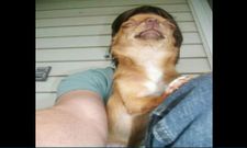 ನಿಮ್ಮ ಕಣ್ಮನ ತಣಿಸಲಿರುವ ಪರ್ಫೆಕ್ಟ್ ಫೋಟೋಗಳಿವು