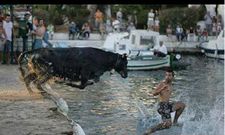 ಭಾವನೆಗಳನ್ನು ಗರಿಗೆದರಿಸುವಂತಹ ಸುಂದರ ದೃಶ್ಯಗಳು