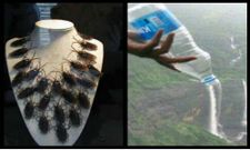 ಸೂಪರ್ ಕ್ಲಿಕ್‌ಗಳ ಸೂಪರ್ ಸಂಗ್ರಹ