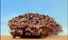 ನಿಜಕ್ಕೂ ಅಮೇಜಿಂಗ್ ಆಗಿರುವ ಫೋಟೊಗಳು