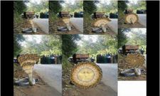 ನಿಮ್ಮ ಕಣ್ಮನಸೆಳೆಯುವ ಸೂಪರ್ ಫೋಟೋ ಗ್ಯಾಲರಿ