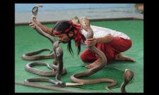 ಸೂಪರ್ ಫೋಟೋಗಳ ಸೂಪರ್ ಸಂಗ್ರಹ