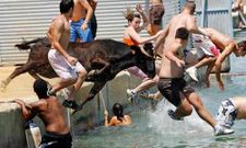 ನಿಮ್ಮ ಕಣ್ಣಿಗೆ ರಸದೌತಣವನ್ನು ಉಣಬಡಿಸುವ ಚಿತ್ರಗಳಿವು