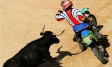 ನಮ್ಮ ಸುತ್ತಲಿರುವ ಮೋಜಿನ ಜನರ ತುಂಟಾಟ