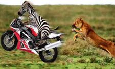 ಸುಖ ದುಃಖ ಜೀವನ ನಾಣ್ಯದ ಎರಡು ಮುಖ