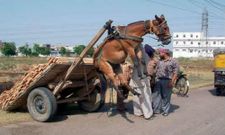 ಅತ್ಯಾಕರ್ಷಕ ಸೂಪರ್ ಫೋಟೋಗಳ ಸಂಗ್ರಹ