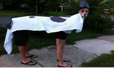 ಸಿಹಿ ಕಹಿ ಸಮ್ಮಿಶ್ರಣದ ಸುಂದರ ಚಿತ್ರಗಳು