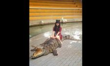 ಆಧುನಿಕತೆಯ ಘಮಲುಳ್ಳ ಹಾಸ್ಯಮಯ ಚಿತ್ರಗಳು