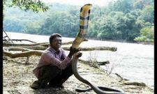 ನಿಮ್ಮನ್ನು ಮೋಡಿ ಮಾಡುವ ಸೊಗಸಿನ ಚಿತ್ರಗಳು