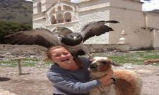 ನಿಮ್ಮಲ್ಲಿ ನಗೆಯ ಬುಗ್ಗೆಯನ್ನರಳಿಸುವ ಬಂಬಾಟ್ ಫೋಟೋ