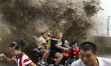 ಆನಂದದಾಯಕ ಮೋಜಿನ ಚಿತ್ರಗಳ ಸುಂದರ ಸಂಗ್ರಹ