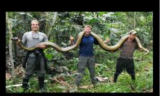 ಮನದ ಭೀತಿಗೆ ಕಡಿವಾಣ ಹಾಕುವ ಸೂಪರ್ ಪಿಕ್ಸ್