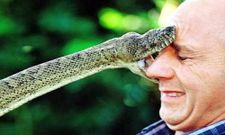 ನಮ್ಮ ಸುತ್ತಲಿರುವ ಮೋಜಿನ ಜನರ ತುಂಟಾಟ