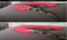 ಸೋಶಿಯಲ್ ಮೀಡಿಯಾ ಮೋಜುದಾಯಕ ಫೋಟೋಗಳು