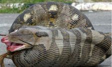 ಗಮನಸೆಳೆಯುವ ಪನೋರಮಾ ಫೋಟೋಗ್ರಫಿ