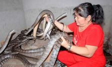 ಭಯವನ್ನು ಉತ್ಪಾದಿಸುವ ಭಯಾನಕ ಚಿತ್ರಗಳು