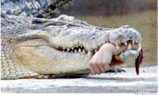 ನಿಜಕ್ಕೂ ಭಯಾನಕ ಚಿತ್ರಗಳಿವು