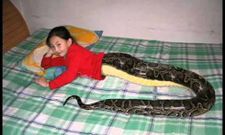 ನಿಮ್ಮ ಕಣ್ಣು ಬಯಸುವ ಸೂಪರ್ ಚಿತ್ರಗಳಿವು