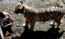 ಸೋಜಿಗದ ದೃಷ್ಟಿಯಿಂದ ಈ ಚಿತ್ರವನ್ನು ನೋಡಿ