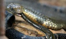 ಮನರಂಜನೆ ಬಂಡವಾಳ ಸುಖ ಜೀವನದ ಸೋಪಾನ